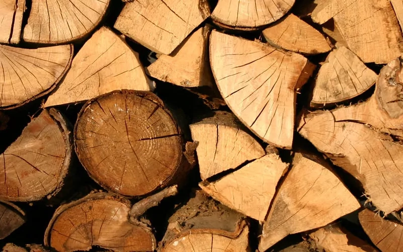 Aufgestapeltes Holz von der Seite